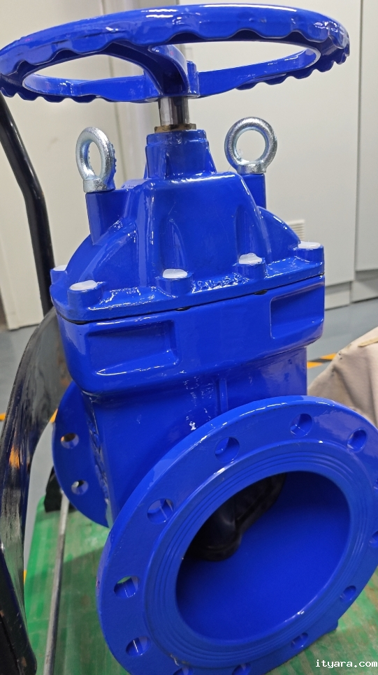 米兰app下载免费安装苹果手机新款软密封闸阀图片展示